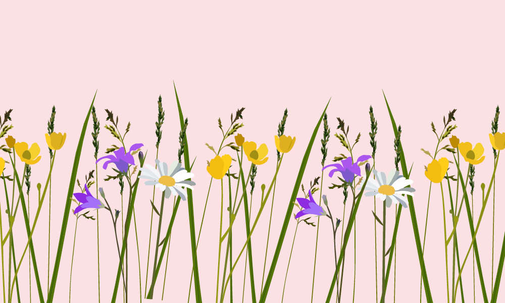 Blommor